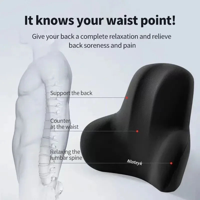 Car Neck & Headrest Pillow